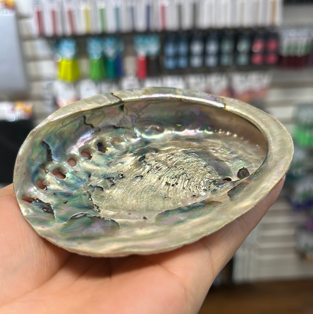 (Canada Only) Abalone Shell