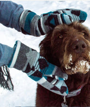 Load image into Gallery viewer, Mini Tipi - Storm Mittens