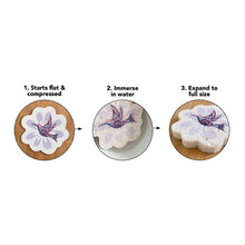 Load image into Gallery viewer, Eco Sponge - Butterfly by Morgan Asoyuf