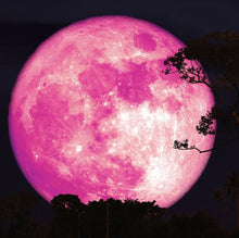 Load image into Gallery viewer, (5oz) Strawberry Moon Body Scrub