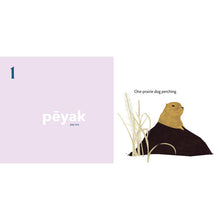 Load image into Gallery viewer, Board Book - We All Count : A Book of Cree Numbers by Julie Flett