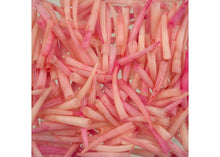 Load image into Gallery viewer, (Canada Only) 30g unsorted small 0.5-1&quot; Dentalium Magenta Dyed
