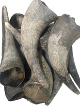 Load image into Gallery viewer, Buffalo Horn
