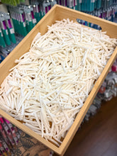 Load image into Gallery viewer, (Canada Only) 0.125 lb unsorted Large 1.5-2&quot; Dentalium
