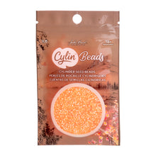 Load image into Gallery viewer, 11/0 Cylin Bead Neon Light Orange
