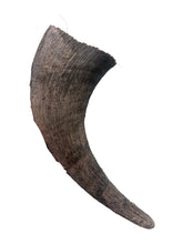 Load image into Gallery viewer, Buffalo Horn
