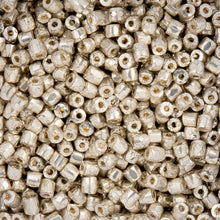 Load image into Gallery viewer, (Czech Seed Bead 9/0 3Cut Vial) Opaque Silver Terra Metallic Dyed
