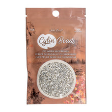 Load image into Gallery viewer, 11/0 Cylin Bead Electro Silver
