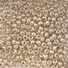 Load image into Gallery viewer, (Vial Czech Size 6/0) Metallic Silver
