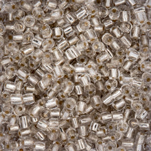 Load image into Gallery viewer, (Czech Seed Bead 9/0 3Cut Vial) Transparent Crystal S/L
