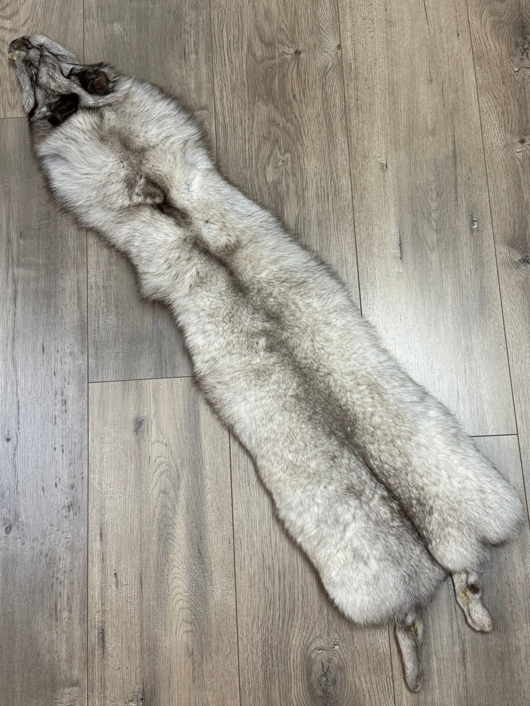 (Canada Only) Large Blue Fox Fur - NO TAIL
