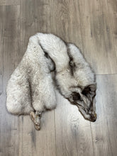 Load image into Gallery viewer, (Canada Only) Large Blue Fox Fur - NO TAIL
