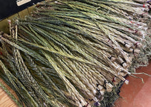 Load image into Gallery viewer, (Canada Only) Large Sweetgrass
