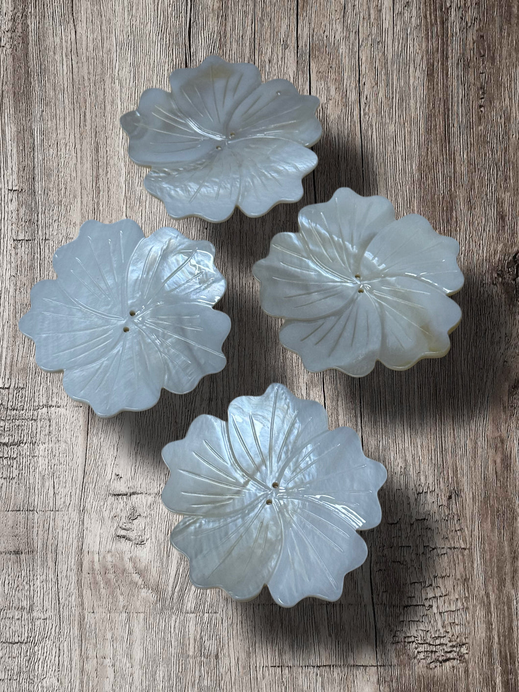 3” Flower 1 MOP Shell (PER/PAIR)
