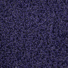 Load image into Gallery viewer, (Vial Czech Size 11) Crystal C/L Terra Intensive Purple
