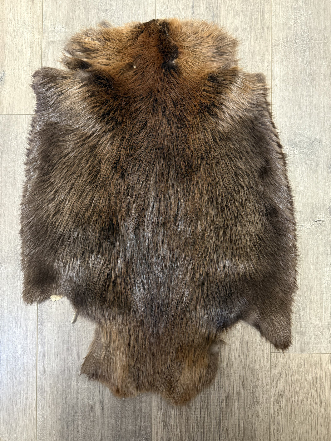 (Canada Only) Large Beaver Fur