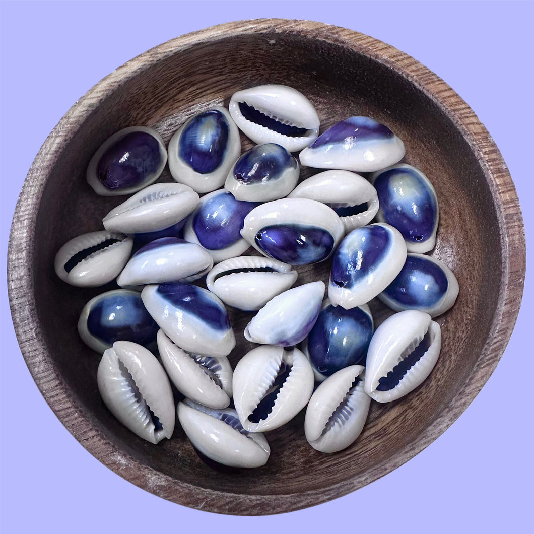 (Canada Only) Pre-drilled Purple Cowrie Shell *Approx. 25 pieces*