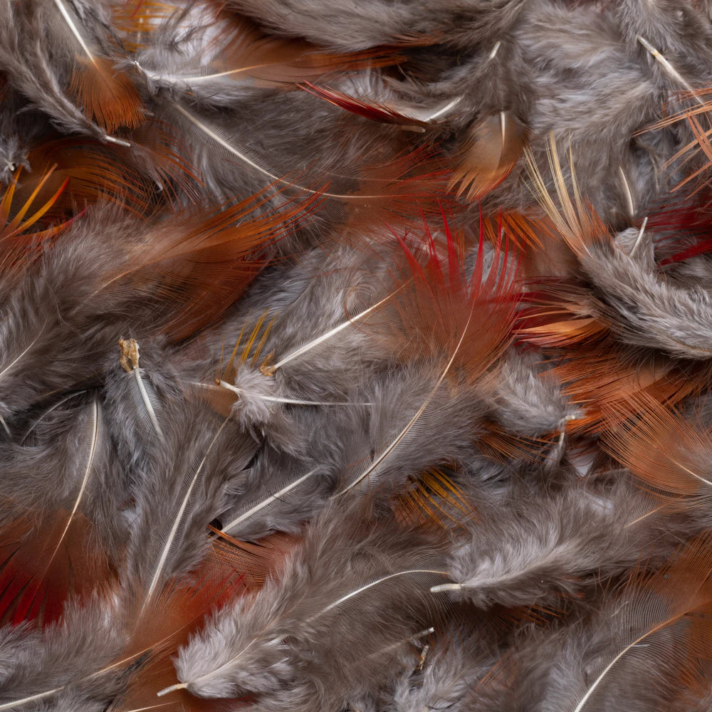 (Canada Only) Feather Light brown with Red Size Approx. 1.5-5 inch