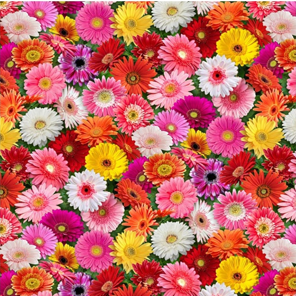 Burst of Color 700 Multi – 4 Generations Creations