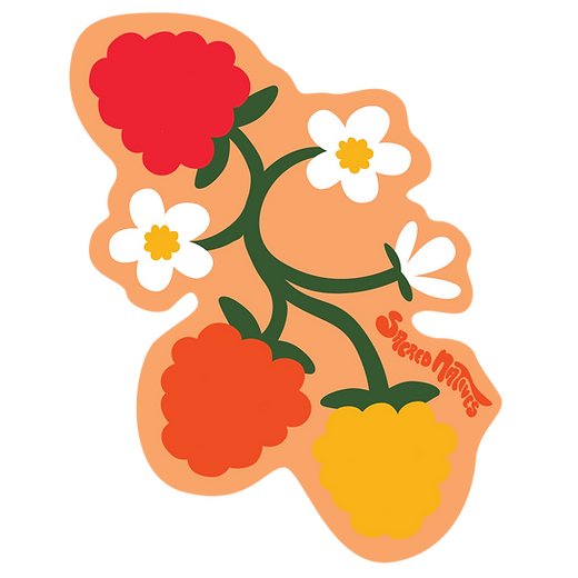 Sacred Natives Salmonberry Sticker