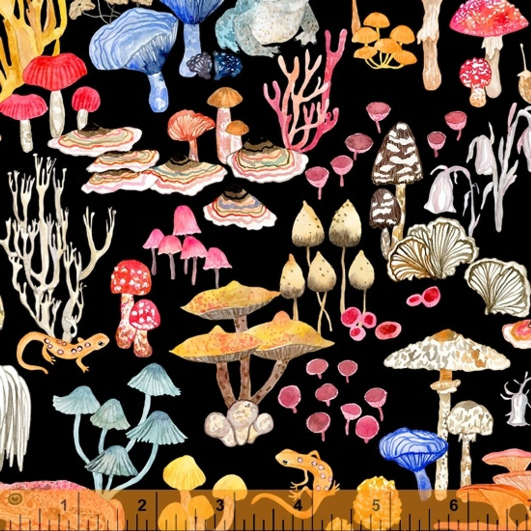 Deep Forest 52991D-1