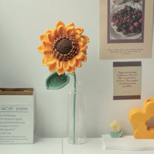 Load image into Gallery viewer, Crochet DIY Kit - Sunflower
