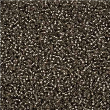 Load image into Gallery viewer, 11/0 Seedbead S/L Solgel Grey

