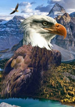 Call of the Wild 25509-159