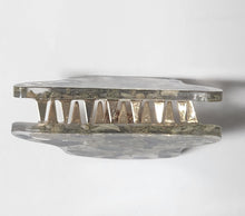 Load image into Gallery viewer, Hair Claw:Abalone &amp; Sage
