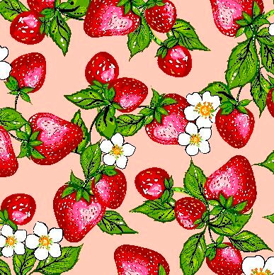 CAJ - 0008 - Strawberry Dreamcatcher - Coral