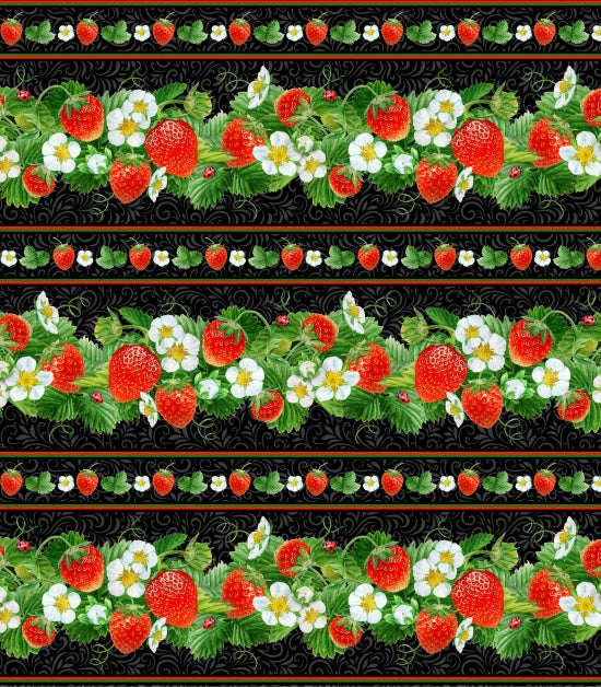 729 - Black Strawberry Fields, Strawberry Borders Stripe
