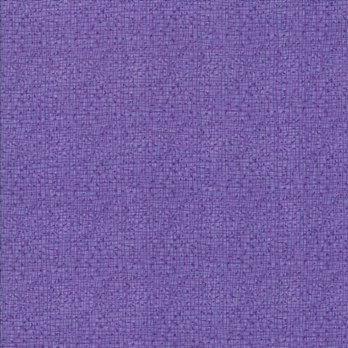 Thatched Aster 548626-33