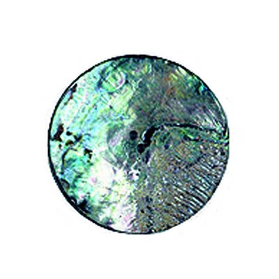 Abalone Shell Buttons, Round 3