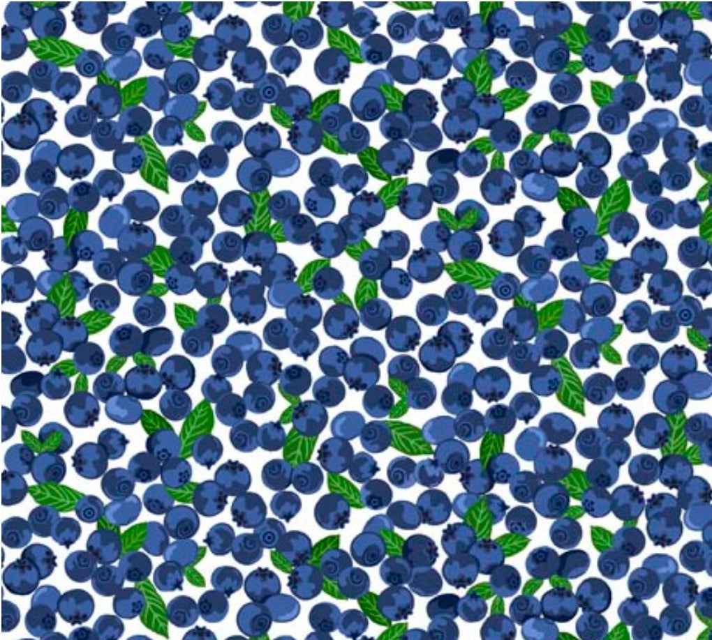 QT Minis, Mini Blueberries-30191-Z