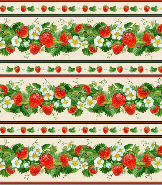 729 - Cream Strawberry Fields, Strawberry Borders Stripe
