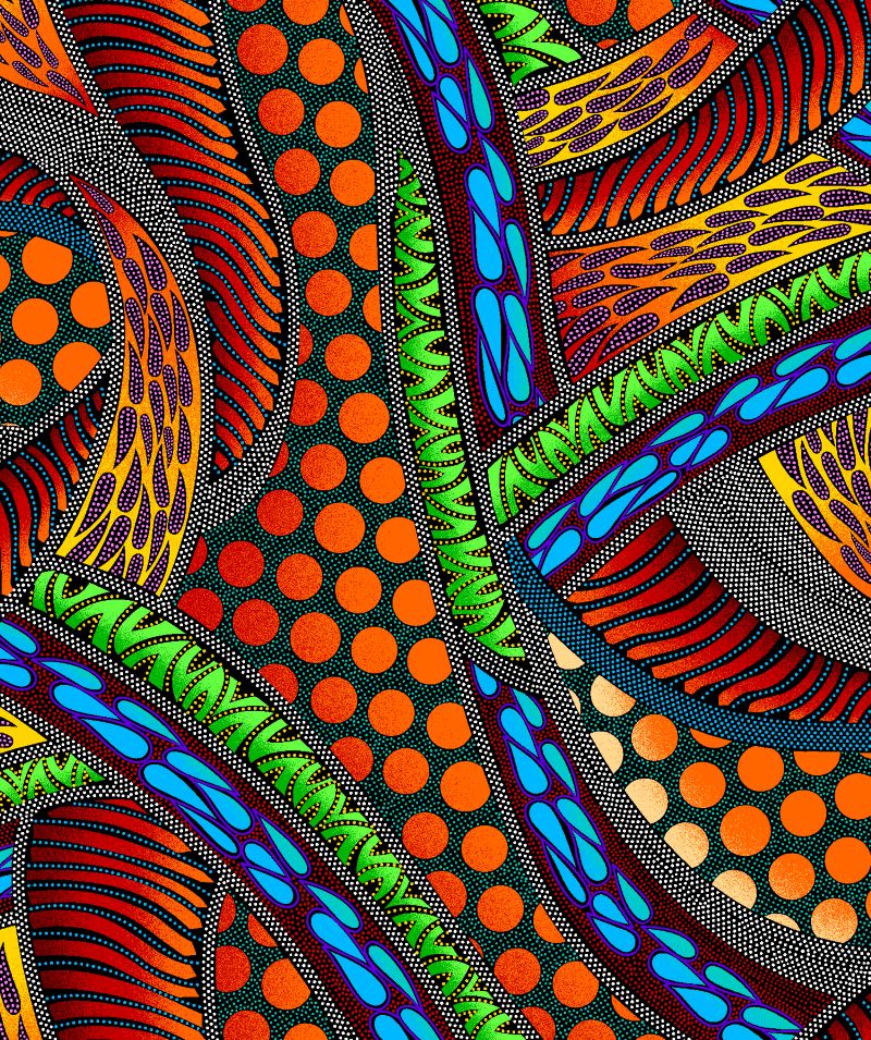 BA - 00013M Turtle - Multi