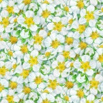 731 - Cream Strawberry Fields, Packed Flowers