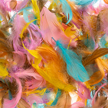 Load image into Gallery viewer, (Canada Only) Naturally Dyed and Sanitized Feathers (Spring)
