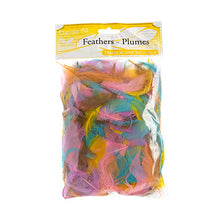 Load image into Gallery viewer, (Canada Only) Naturally Dyed and Sanitized Feathers (Spring)
