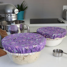 Load image into Gallery viewer, Reusable Bowl Covers (set of 2) - Hummingbirds by Nicole La Rock

