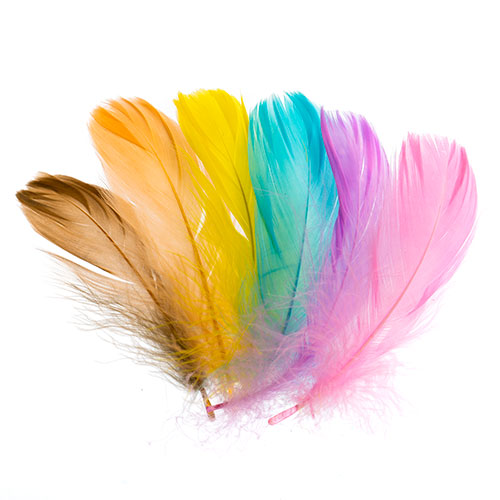 (Canada Only) Naturally Dyed and Sanitized Feathers (Spring)