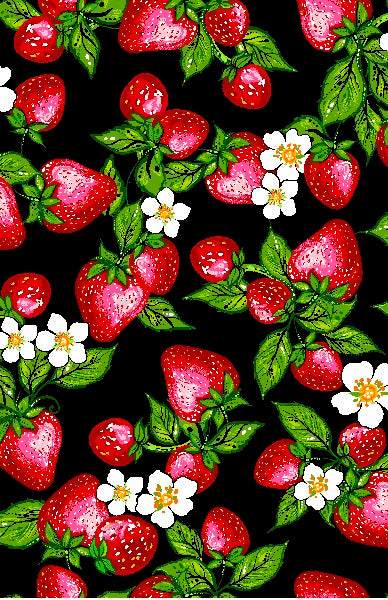 CAJ - 0008 - Strawberry Dreamcatcher - Black