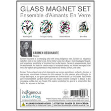 Load image into Gallery viewer, Glass Magnet Set- Carmen Redunante - Nisga'a
